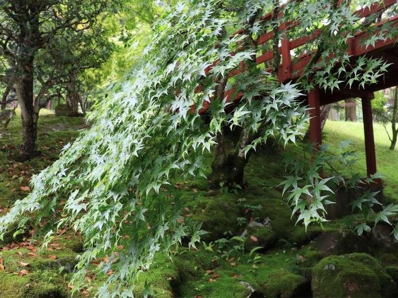 Yumoto Ueyama Ryokan Himeji Exterior foto